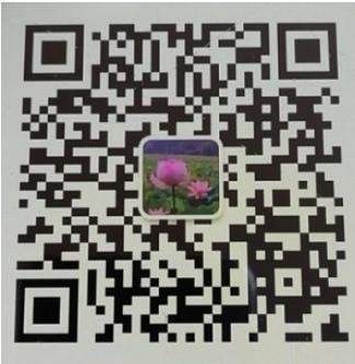 http://www.liuyuanbaojian.com/static/upload/image/20211008/1633680516208028.jpg